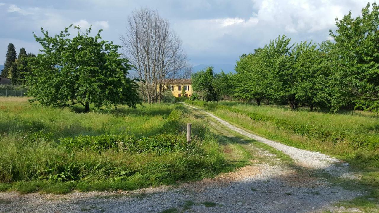Villa Casolare Al Dopolavoro Lucca Exterior foto